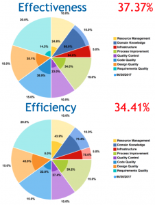 QA 2.0 pillar breakdown by effectiveness and efficiency